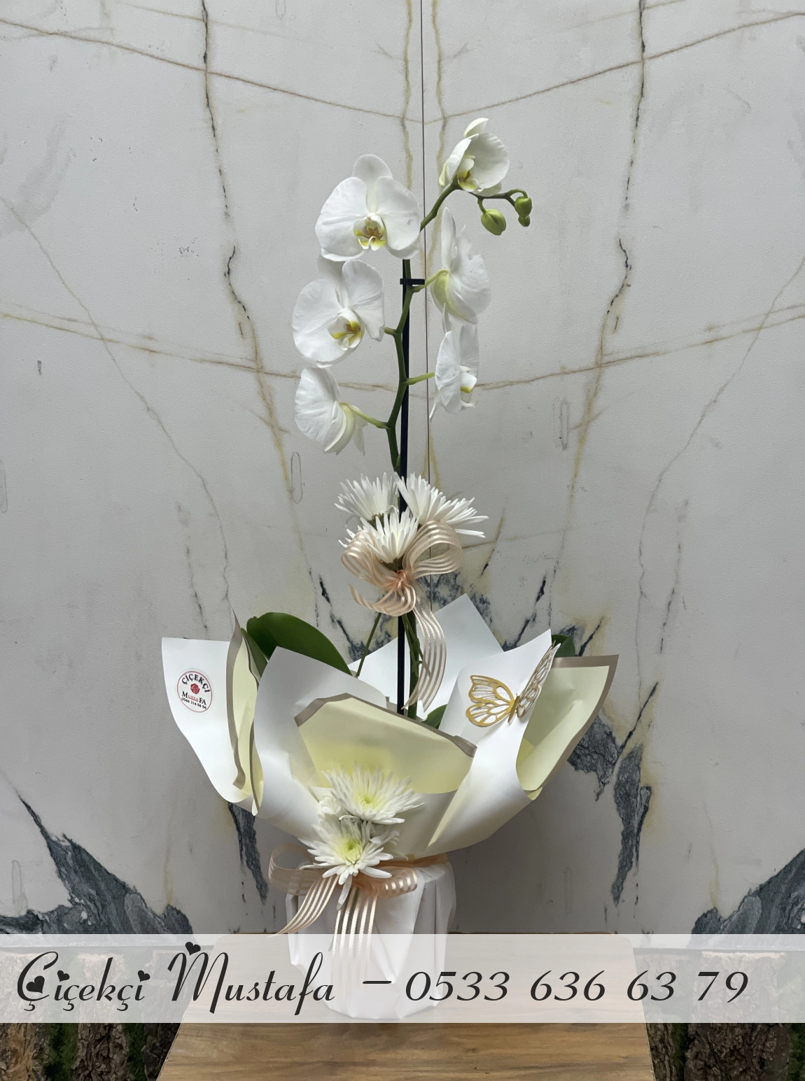Beyaz Orkide