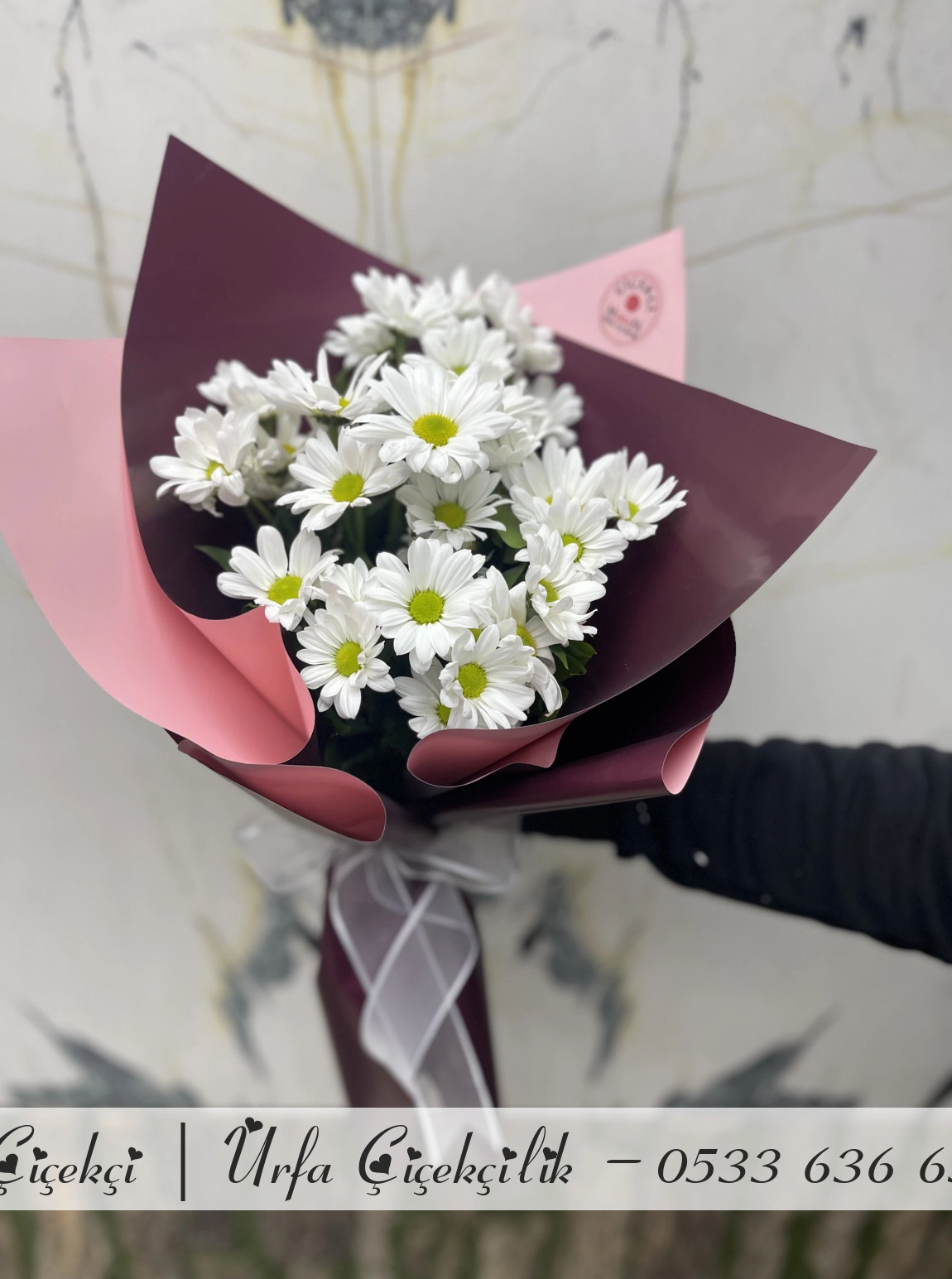 Klasik Boy Papatya Buketi