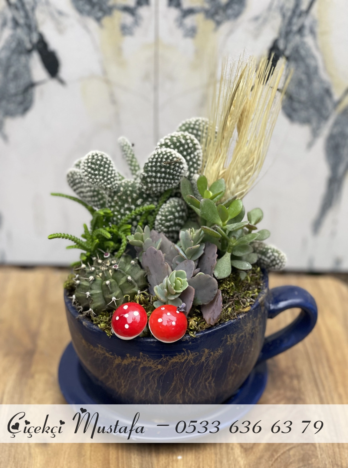 Lacivert Fincan Kaktüs  Aranjmanı