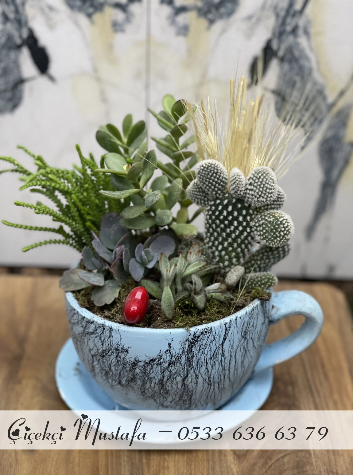 Mavi Fincan Kaktüs Aranjmanı