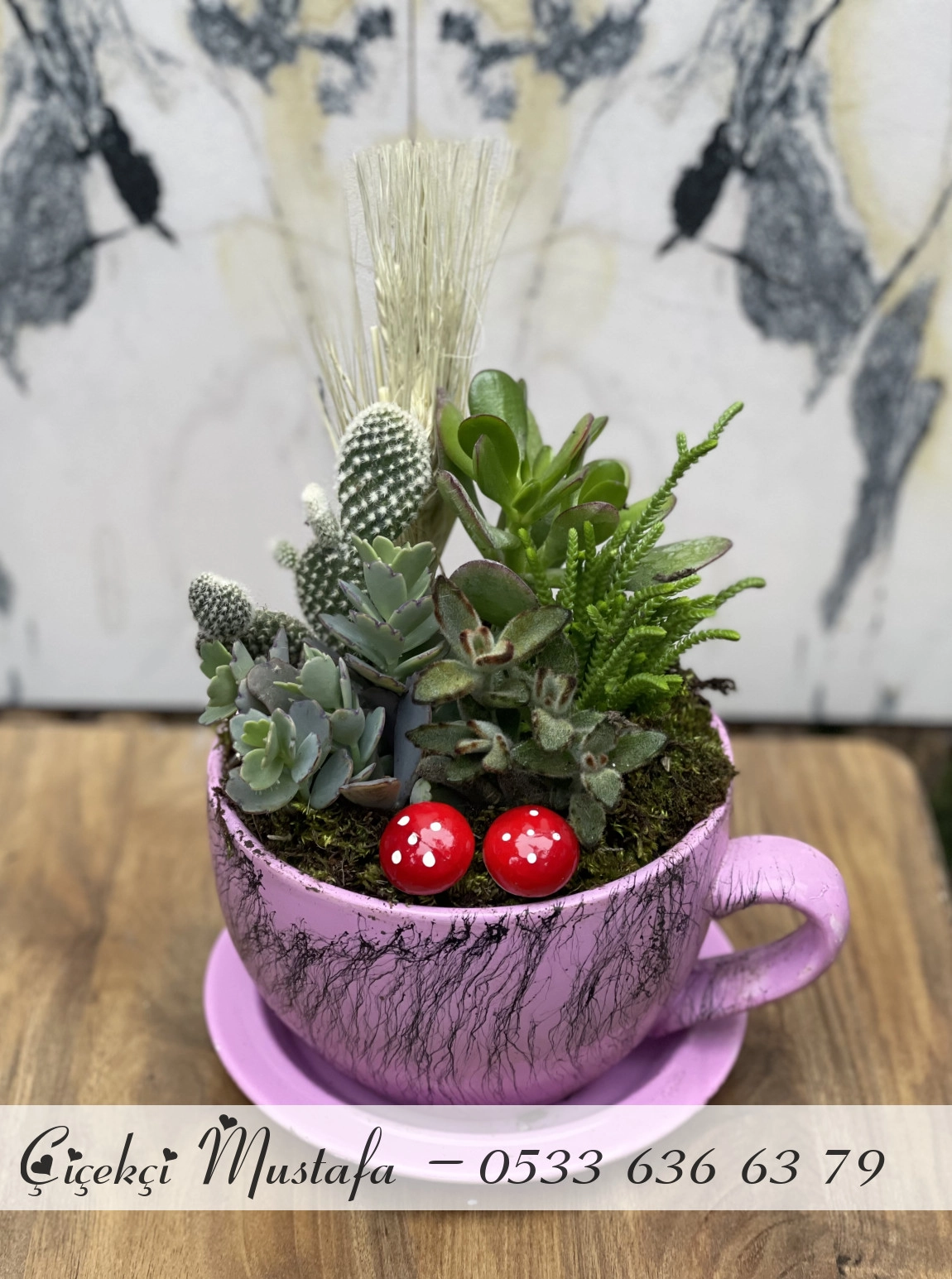 Pembe Fincan Kaktüs Aranjmanı