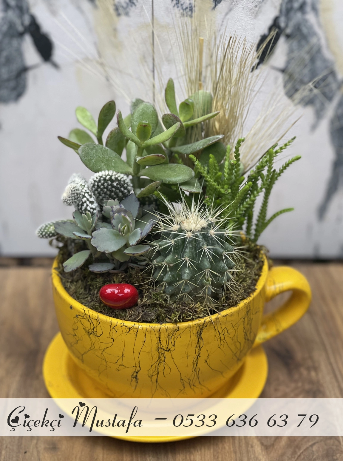 Sarı Fincan Kaktüs Aranjmanı