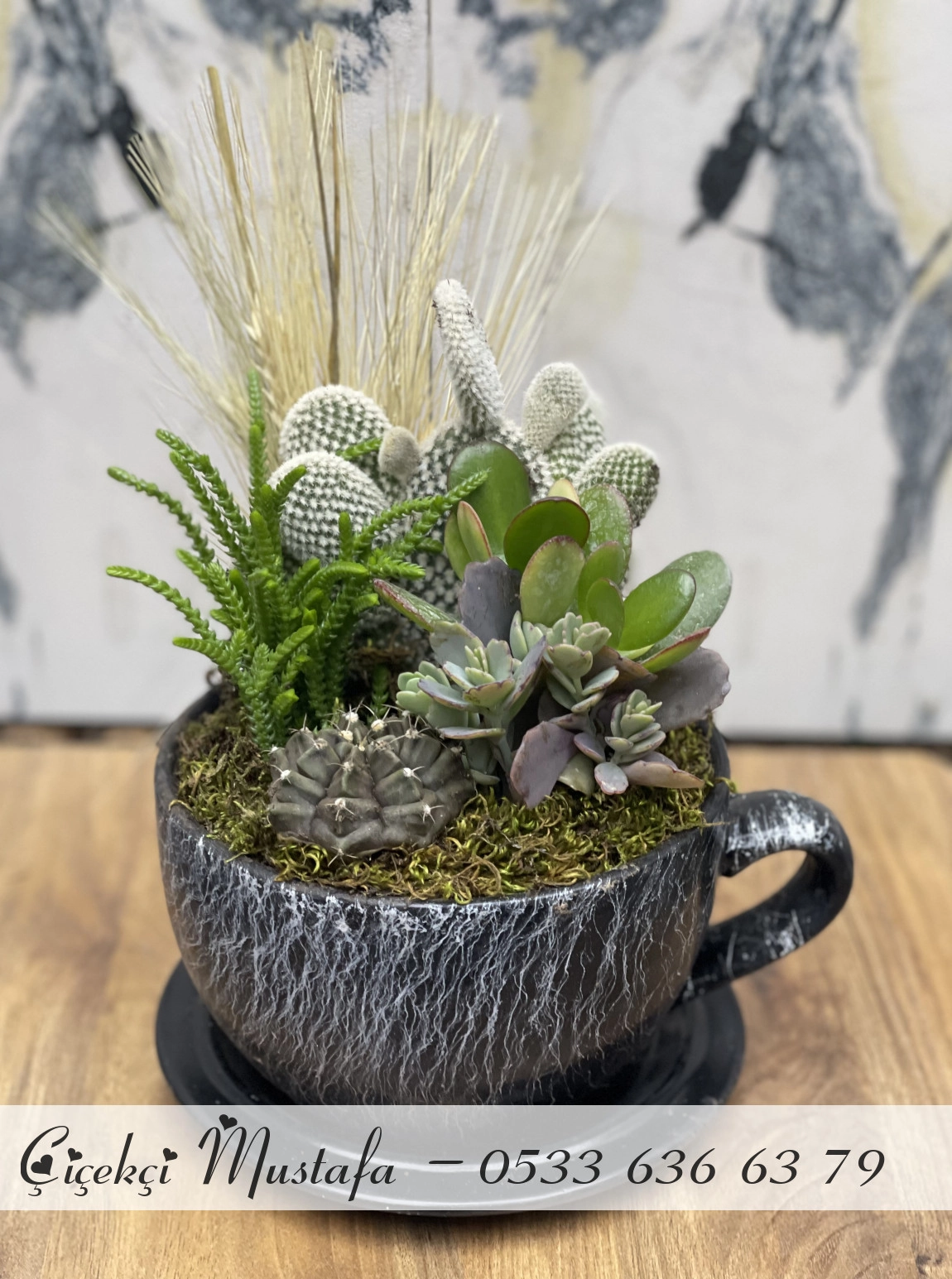Siyah Fincan Kaktüs Aranjmanı