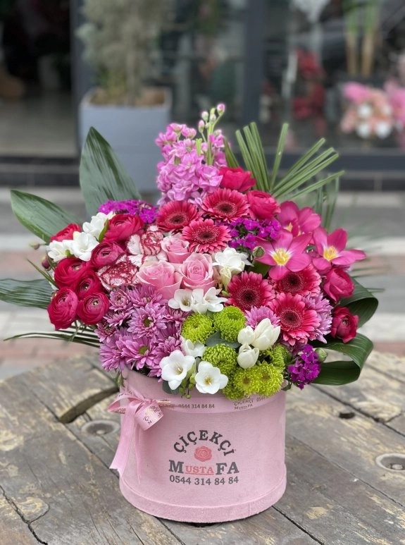 Kutuda Vip Aranjman 2