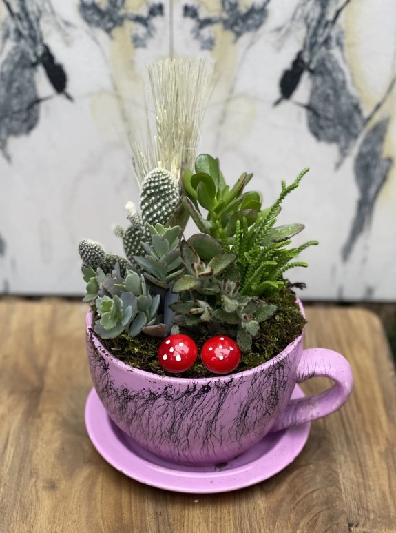 Pembe Fincan Kaktüs Aranjmanı