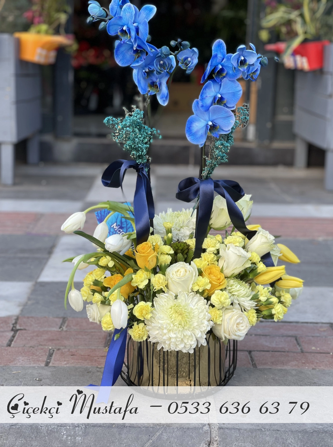 Vip Lacivert Orkide Aranjmanı